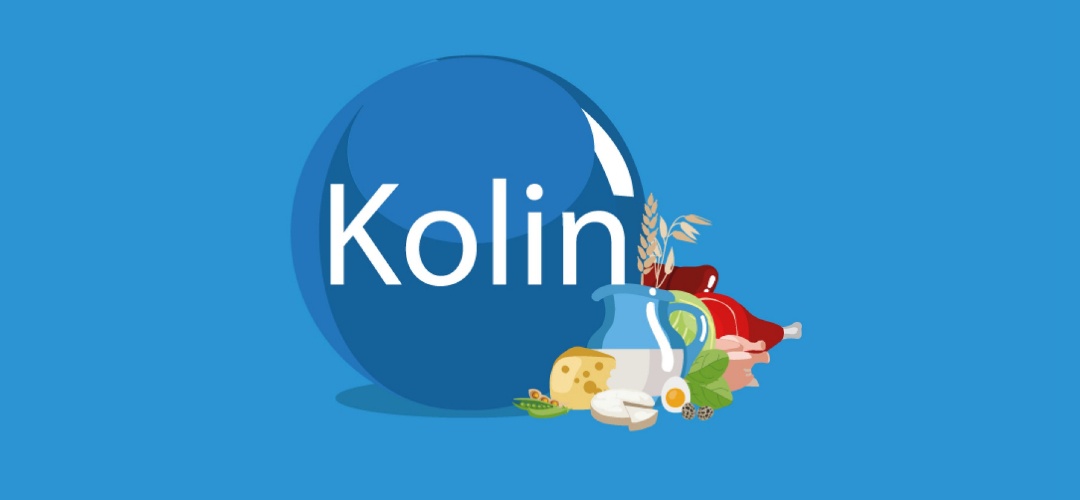 Hvad er cholin? Vigtigt næringsstof med mange fordele 