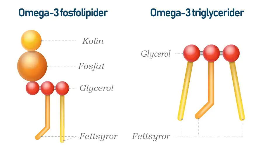 Vad &auml;r kolin?