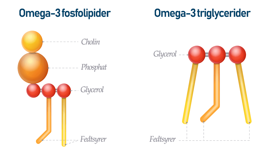 Typer af omega-3 fedtsyrer